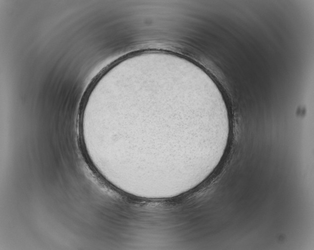 X0000110881028200907161457