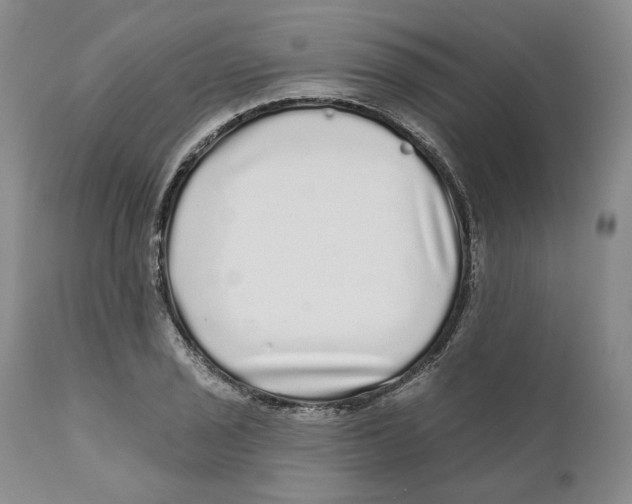 X0000110881029200907161457