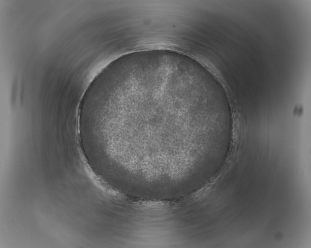 X0000110881031200907161457