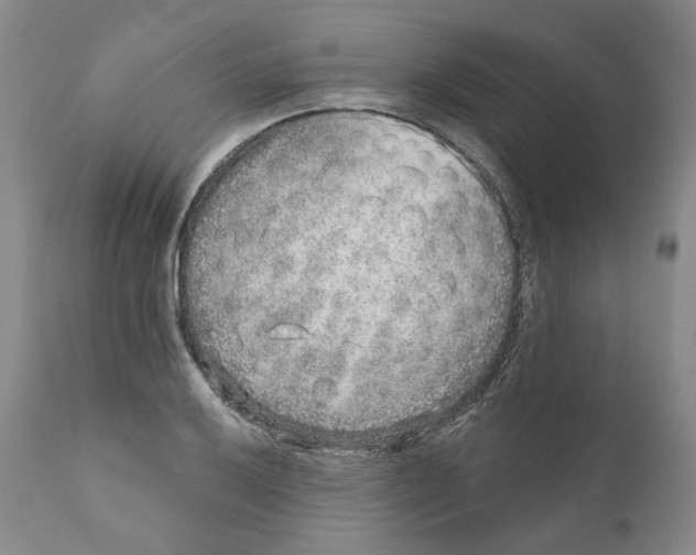 X0000110881032200907161457