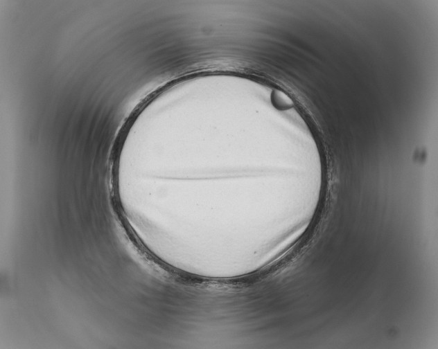 X0000110881034200907161457