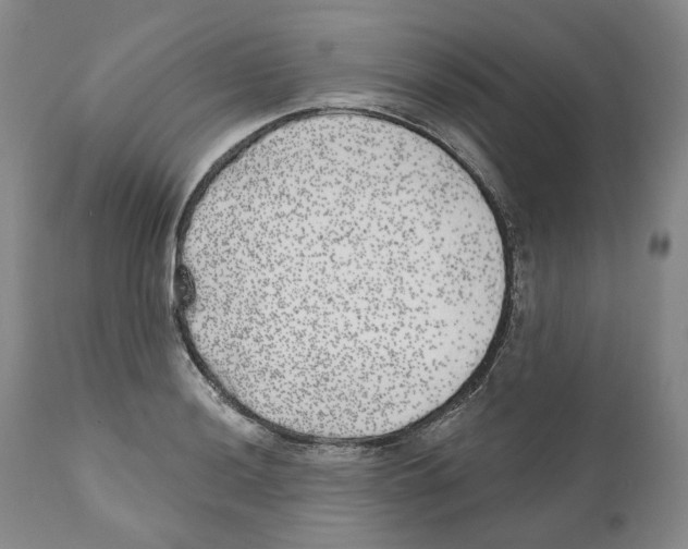 X0000110881036200907161457