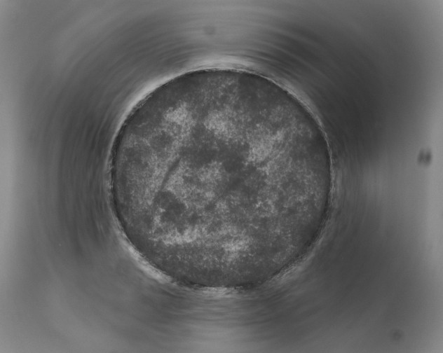 X0000110881037200907161457