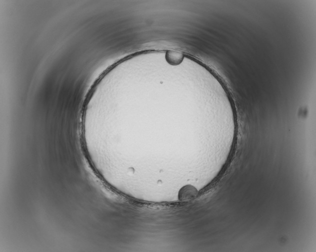 X0000110881040200907161457