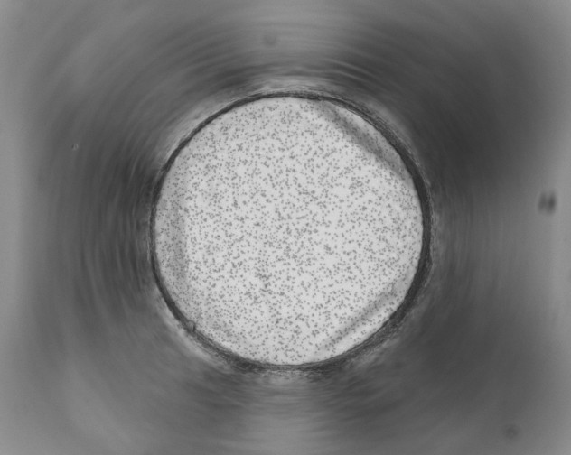 X0000110881041200907161457