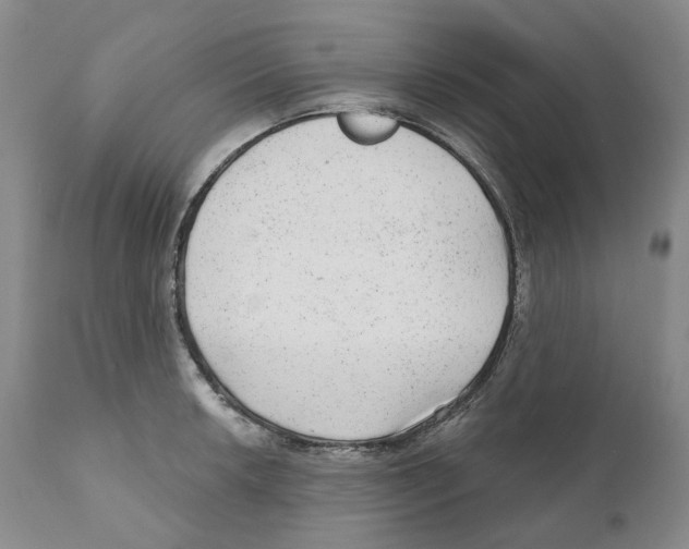 X0000110881042200907161457