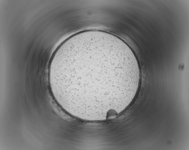 X0000110881044200907161457