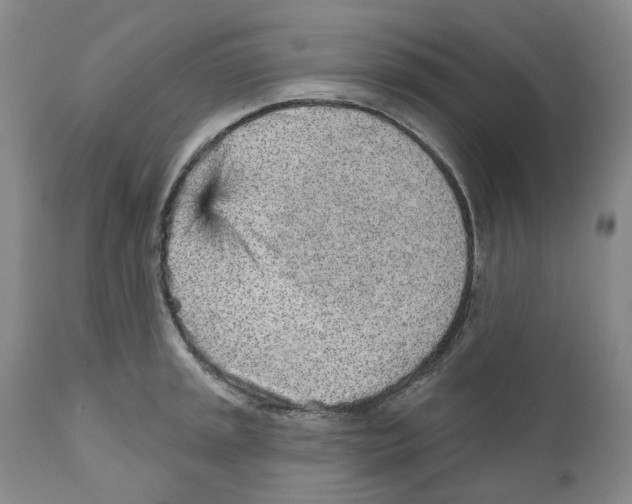 X0000110881045200907161457