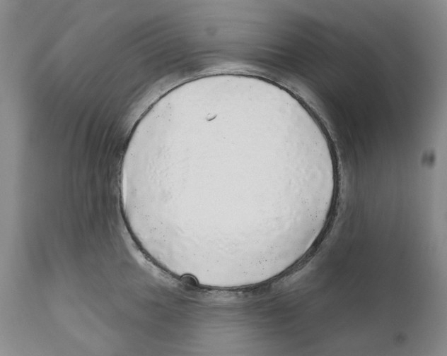 X0000110881049200907161457