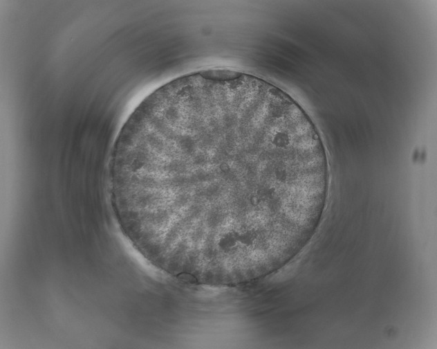 X0000110881056200907161457