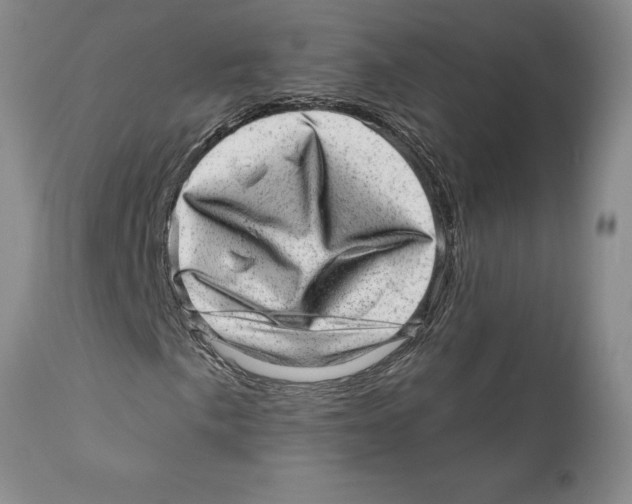 X0000110881057200907161456