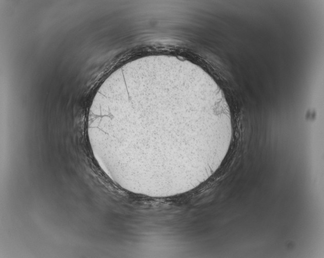 X0000110881061200907161456