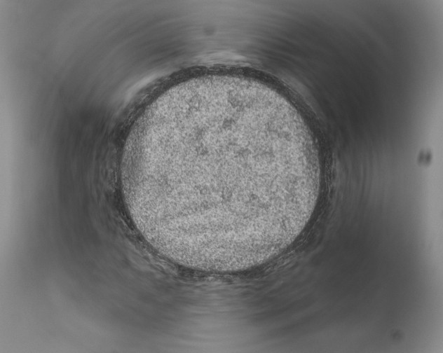 X0000110881063200907161456