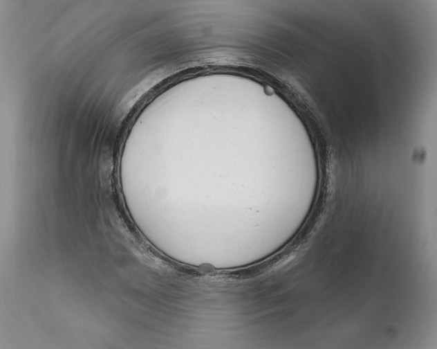 X0000110881065200907161456