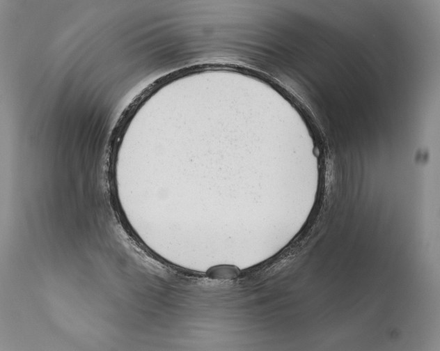 X0000110881068200907161456