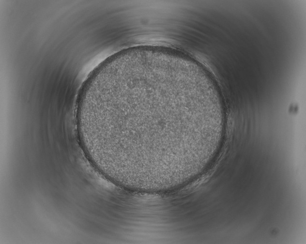 X0000110881071200907161456