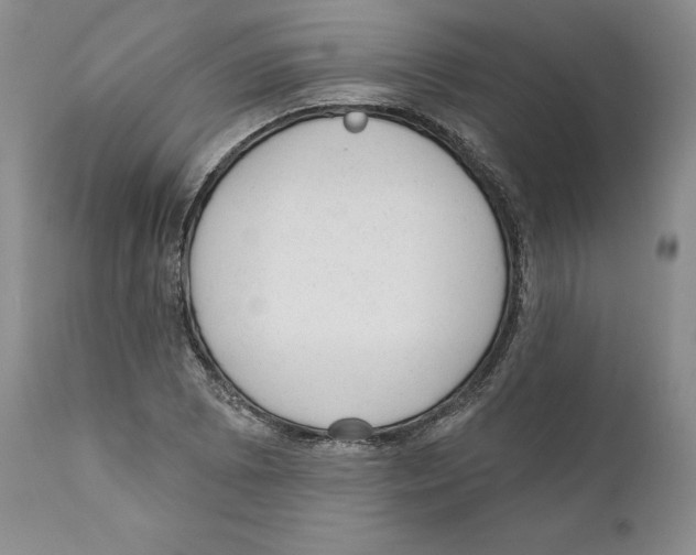 X0000110881073200907161456