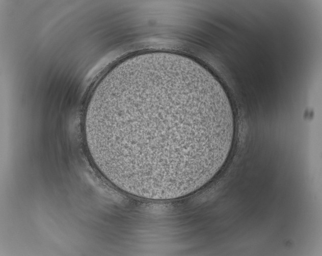 X0000110881074200907161456