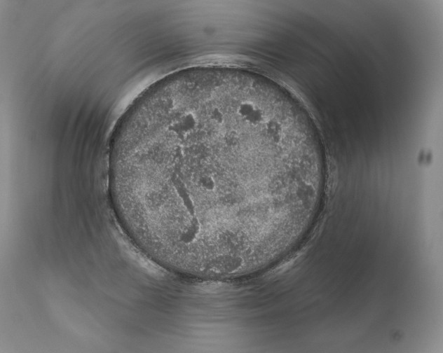 X0000110881075200907161456