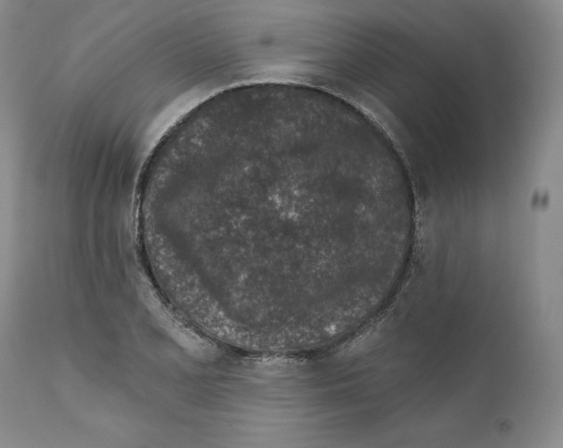 X0000110881077200907161456