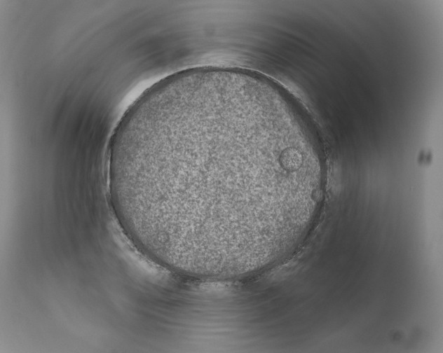 X0000110881078200907161456