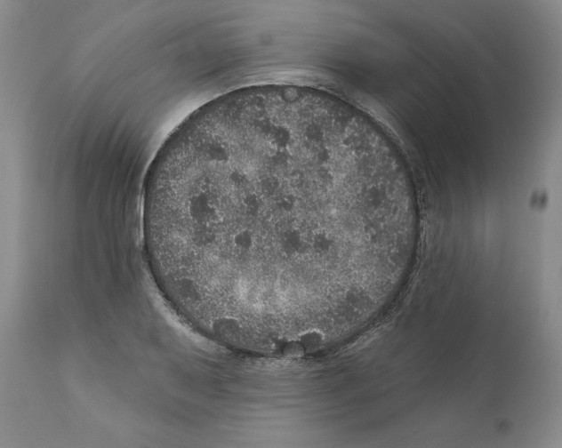 X0000110881079200907161456