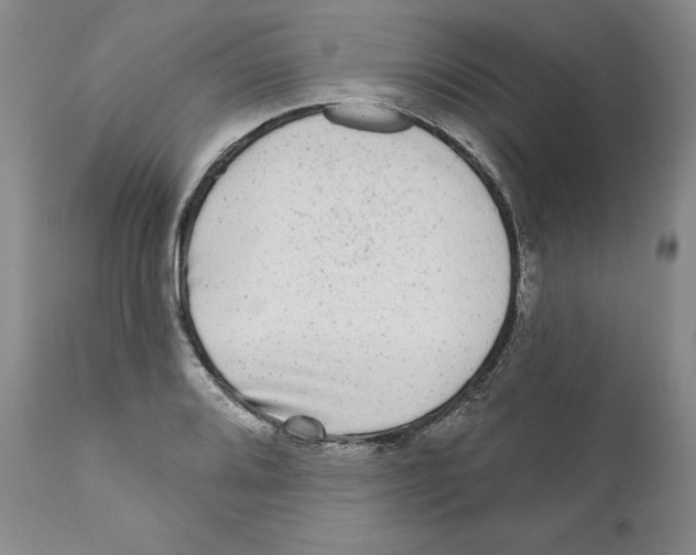 X0000110881080200907161456