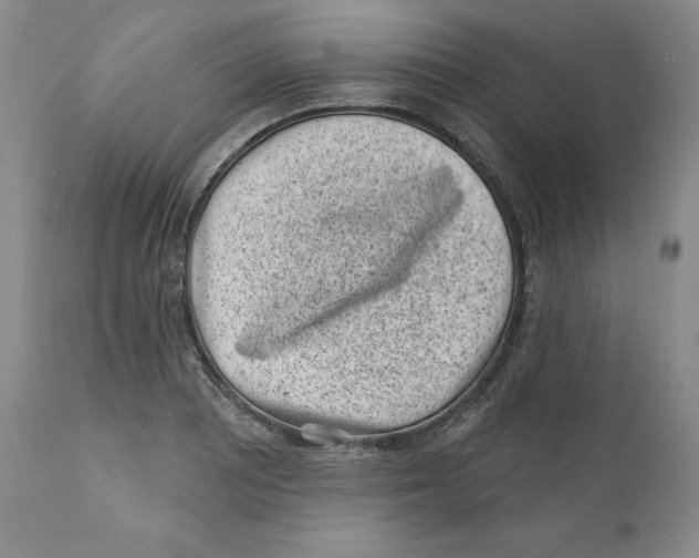 X0000110881081200907161456