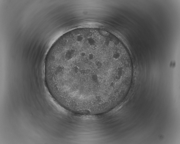 X0000110881083200907161456