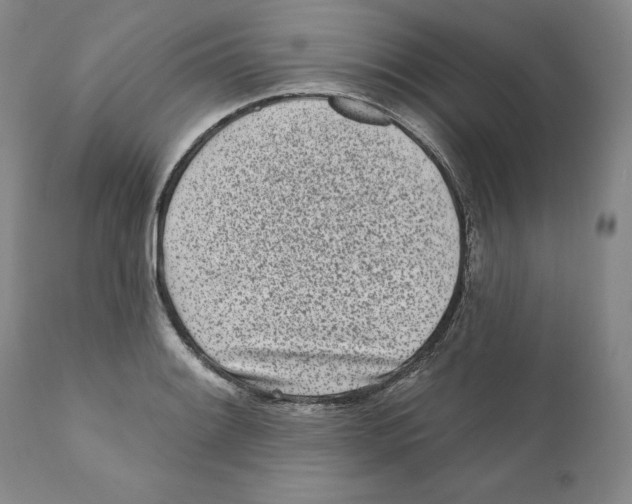 X0000110881084200907161456