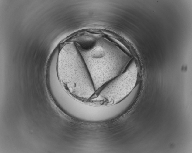 X0000110881085200907161456