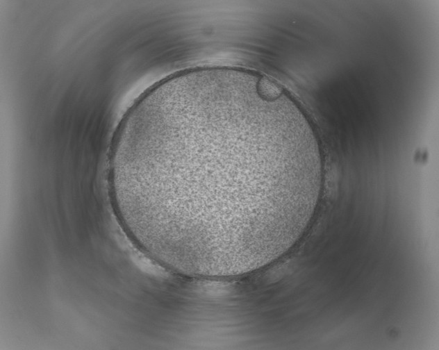 X0000110881086200907161456