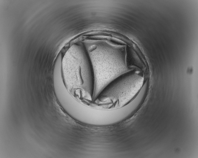 X0000110881089200907161456