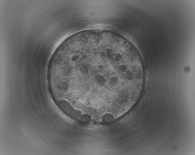 X0000110881091200907161456