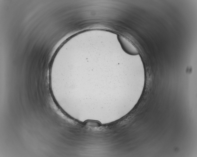 X0000110881092200907161456