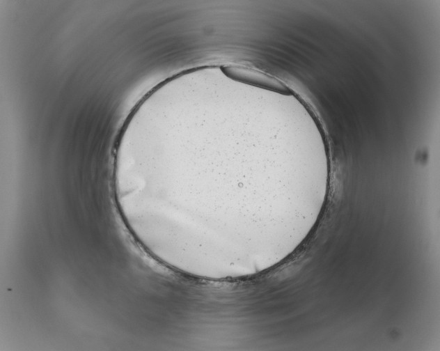 X0000110881096200907161456