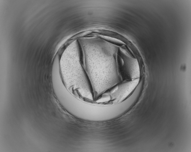 X0000110881097200907161456