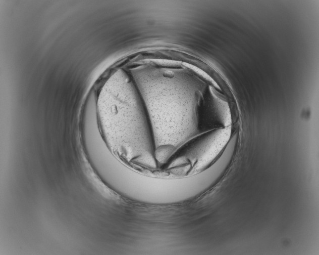 X0000110881098200907161456