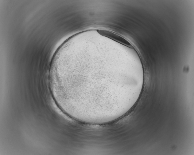 X0000110881100200907161456