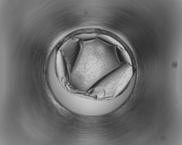 X0000110881101200907161456