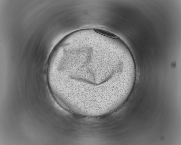 X0000110881102200907161456