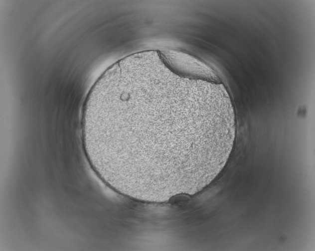 X0000110881103200907161456