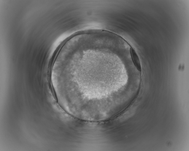 X0000110881104200907161456