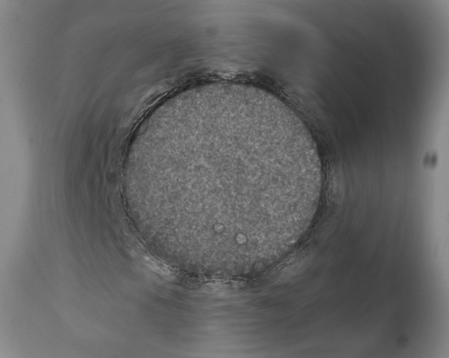 X0000110881105200907161455