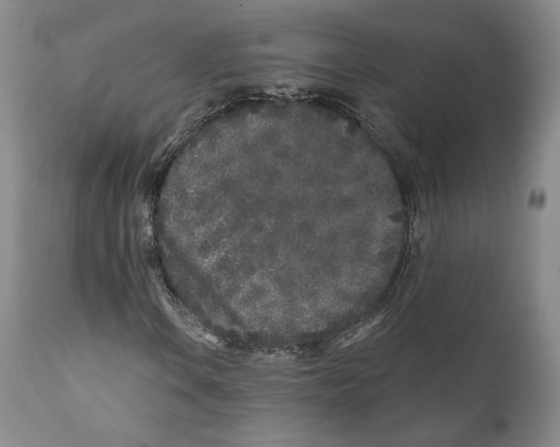 X0000110881106200907161455