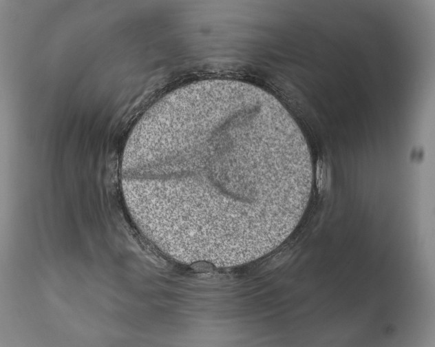 X0000110881107200907161455