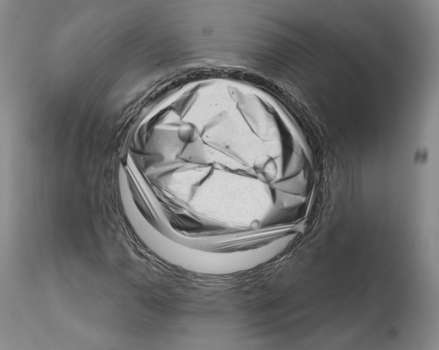 X0000110881110200907161455