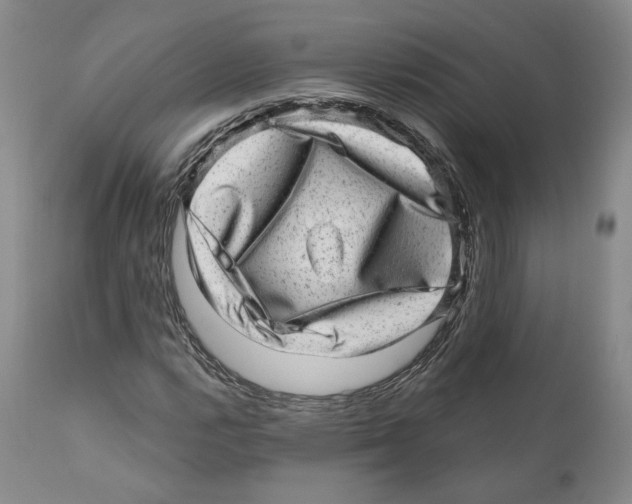 X0000110881112200907161455