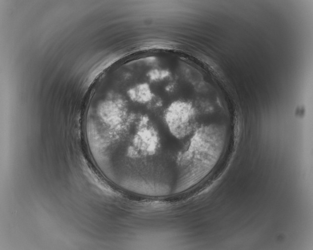 X0000110881113200907161455