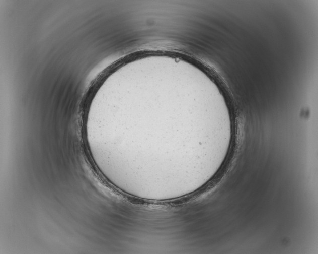 X0000110881114200907161455